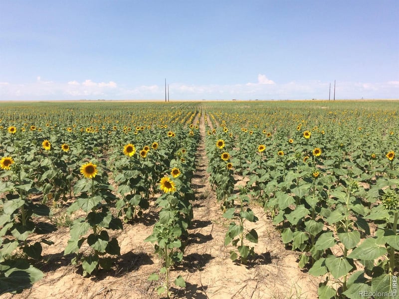 8551 Flint Ridge St, Bennett, CO 80102