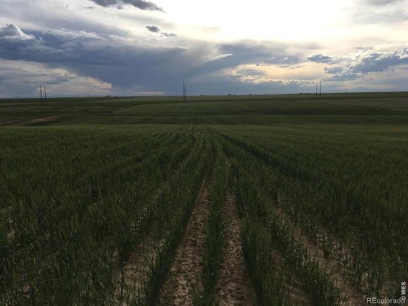 8551 Flint Ridge St, Bennett, CO 80102