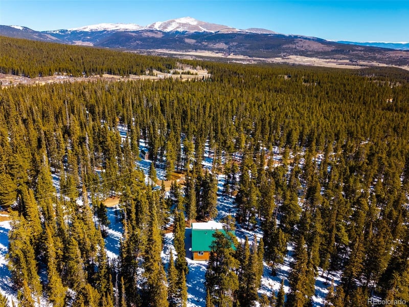 182 Rachaels Pl, Alma, CO 80420