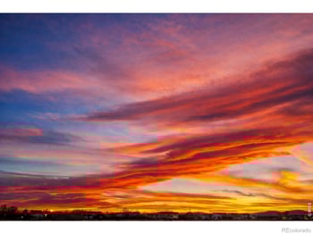 3560 Peruvian Torch Dr, Loveland, CO 80537