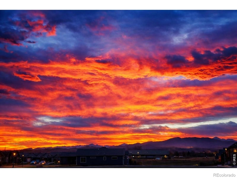 3560 Peruvian Torch Dr, Loveland, CO 80537