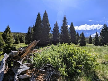 3119-3121 Segal Pl, Fort Garland, CO 81133