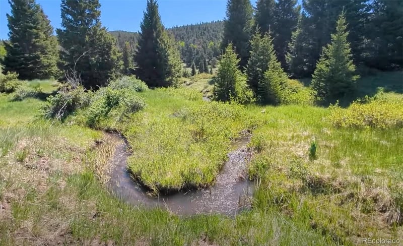 3119-3121 Segal Pl Lot 3119, 3120, 3121, Fort Garland, CO 81133