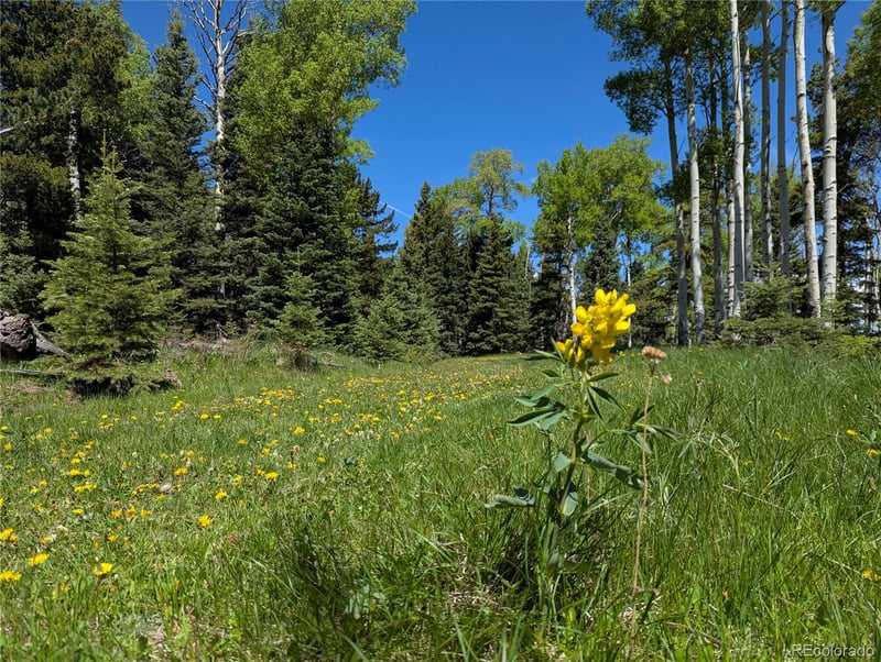 3119-3121 Segal Pl Lot 3119, 3120, 3121, Fort Garland, CO 81133