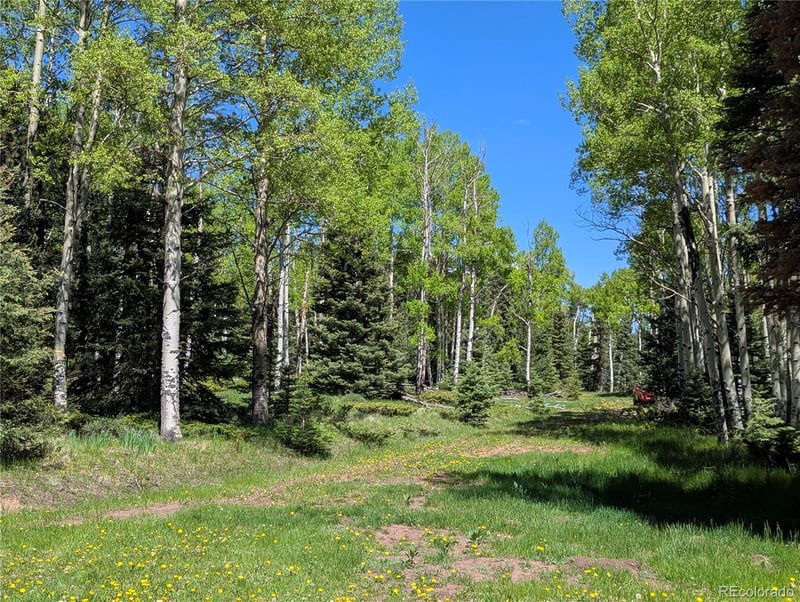 3119-3121 Segal Pl Lot 3119, 3120, 3121, Fort Garland, CO 81133