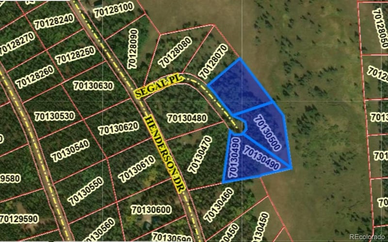3119-3121 Segal Pl Lot 3119, 3120, 3121, Fort Garland, CO 81133