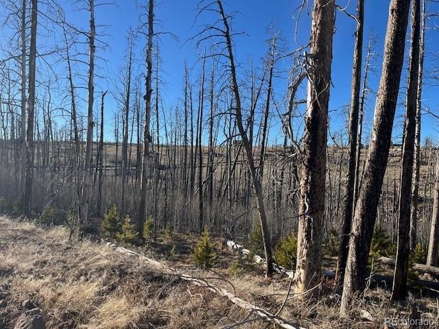 Lot 1502 Vonheyl Ln, Fort Garland, CO 81133