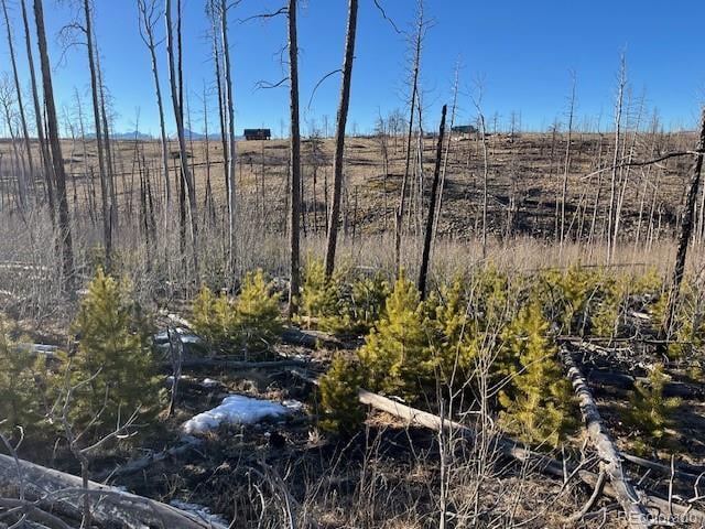 Lot 1502 Vonheyl Ln, Fort Garland, CO 81133