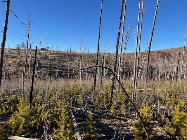 Lot 1502 Vonheyl Ln, Fort Garland, CO 81133