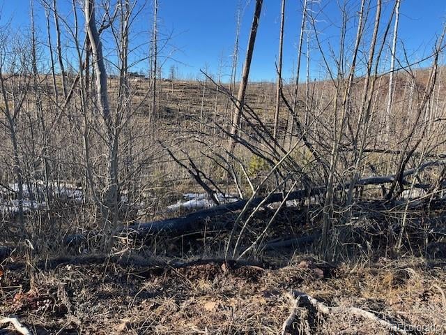 Lot 1502 Vonheyl Ln, Fort Garland, CO 81133