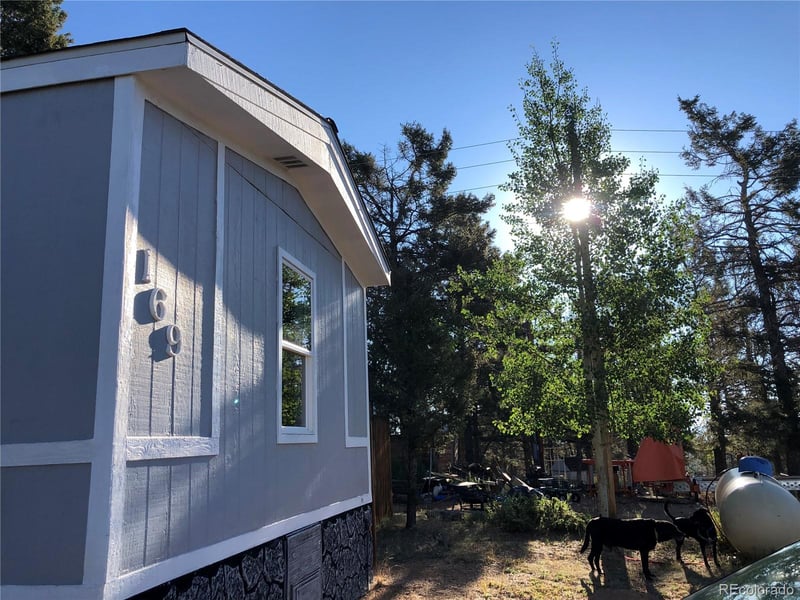 169 Daisy St, Woodland Park, CO 80863