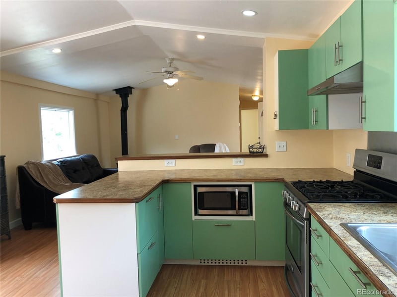 169 Daisy St, Woodland Park, CO 80863