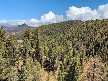 13809 Elsie Rd, Conifer, CO 80433