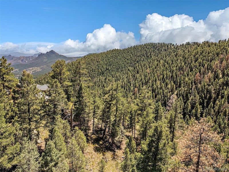 13809 Elsie Rd, Conifer, CO 80433