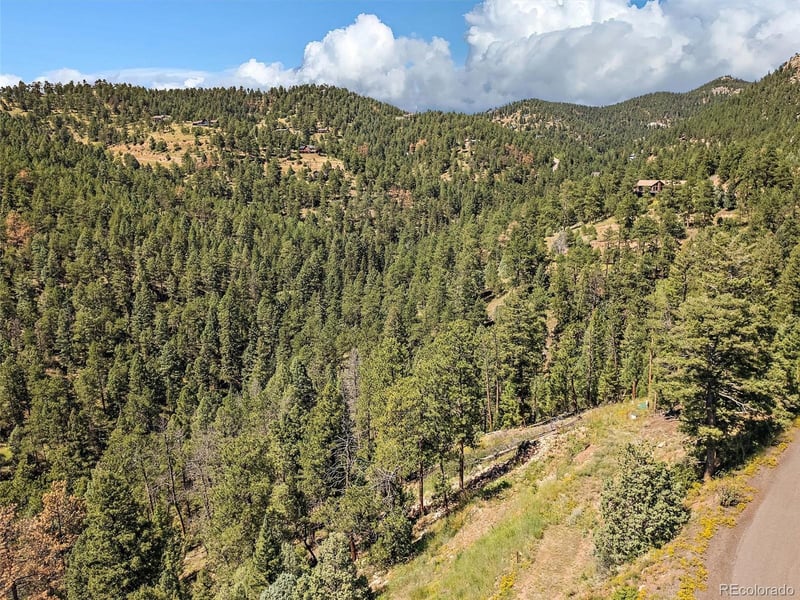 13809 Elsie Rd, Conifer, CO 80433