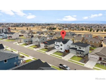 1776 Branching Canopy Dr, Windsor, CO 80550