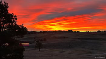 1348 Chapel Royal Ct, Monument, CO 80132