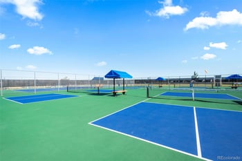 14075 Scarlet Sage St, Parker, CO 80134