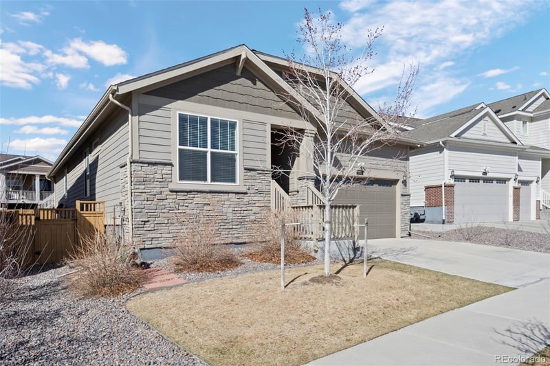 8741 Ginkgo Loop, Parker, CO 80134