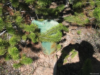 1384 Rocky Mountain Dr, Grand Lake, CO 80447