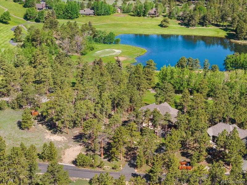 Juniper , Red Feather Lakes, CO 80545