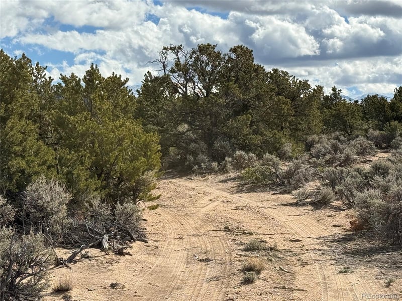 00 Vacant Land, Fort Garland, CO 81133