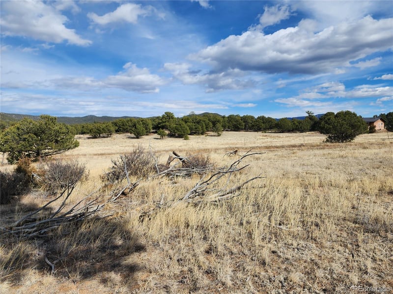 Pinon , Cotopaxi, CO 81223