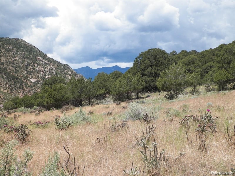 na Tbd , Cotopaxi, CO 81223