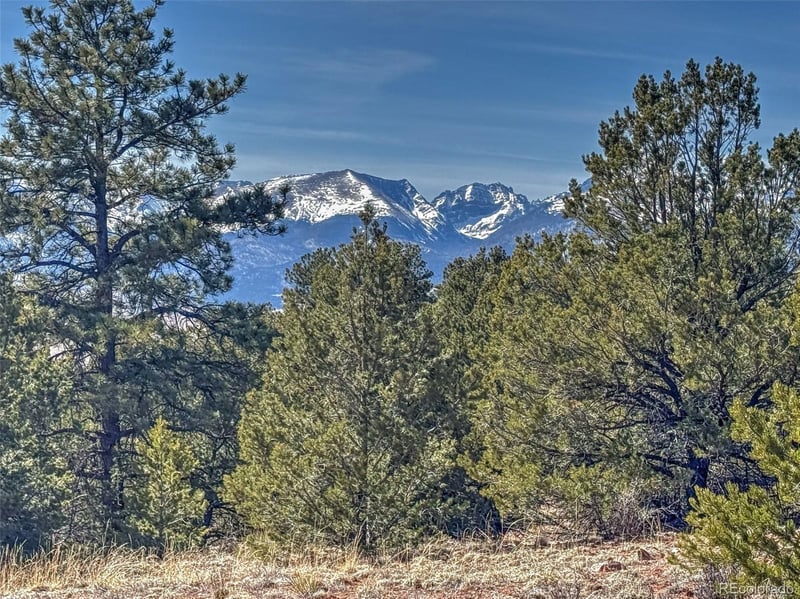 426 Arapaho Rd, Westcliffe, CO 81252