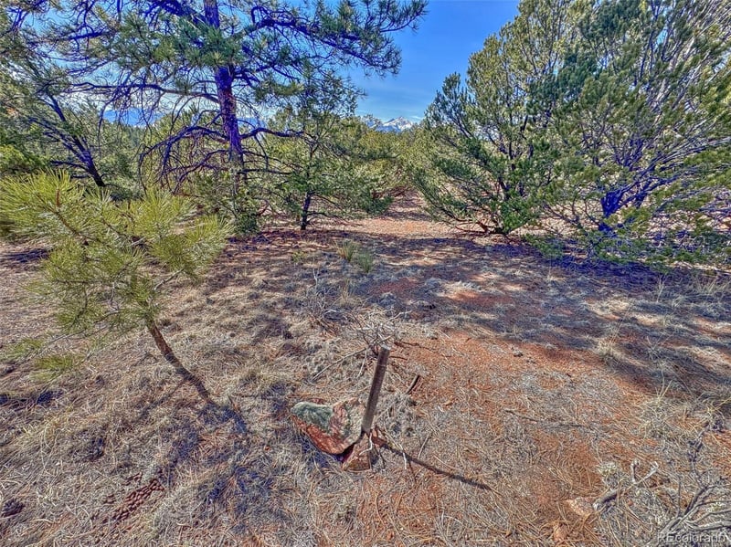 426 Arapaho Rd, Westcliffe, CO 81252