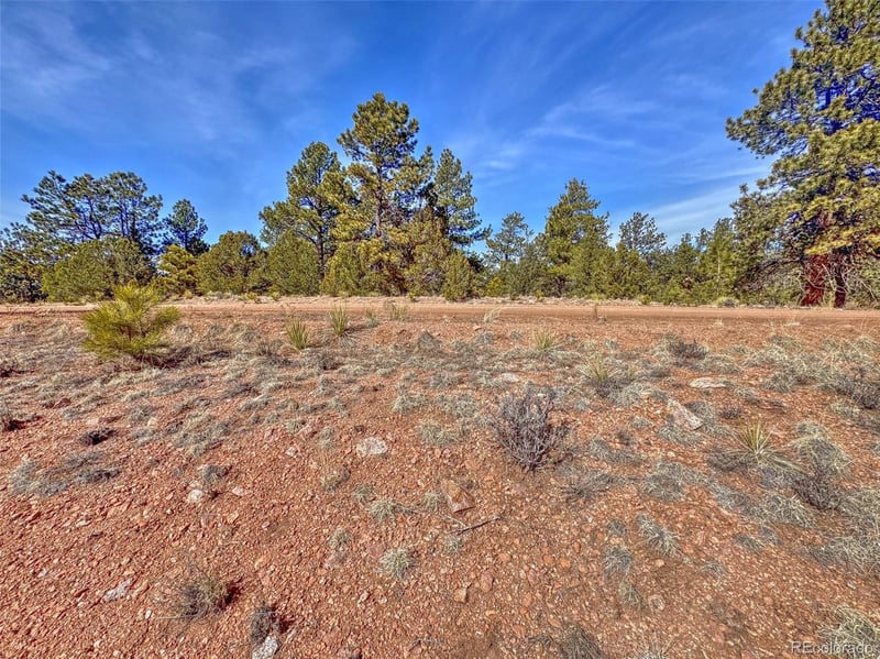 426 Arapaho Rd, Westcliffe, CO 81252