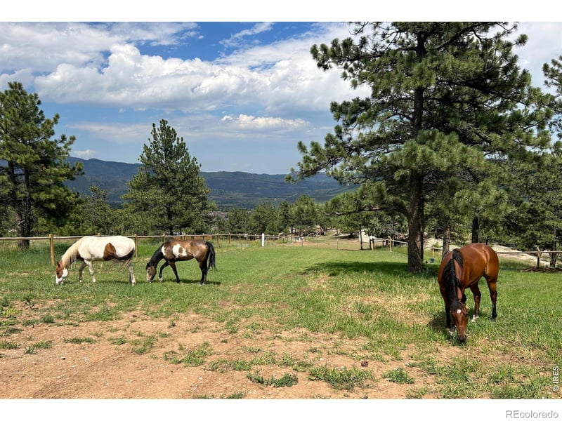 1893 Colard Ln, Lyons, CO 80540
