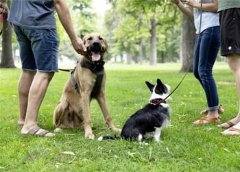 4975 Knox Ct, Denver, CO 80221