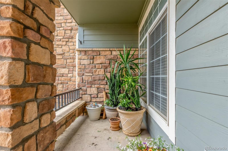 457 Black Feather Loop #702, Castle Rock, CO 80104