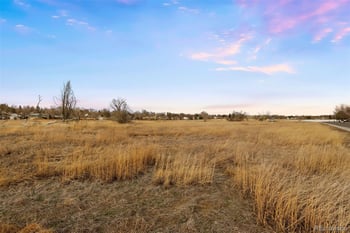 6672 81st Ave, Arvada, CO 80003