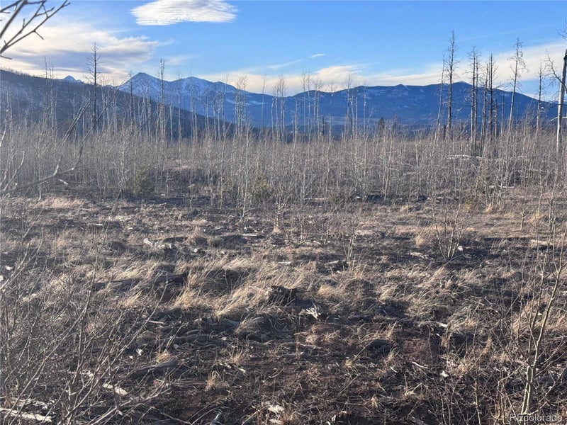 Lot 1290 Clayton Rd, Fort Garland, CO 81133