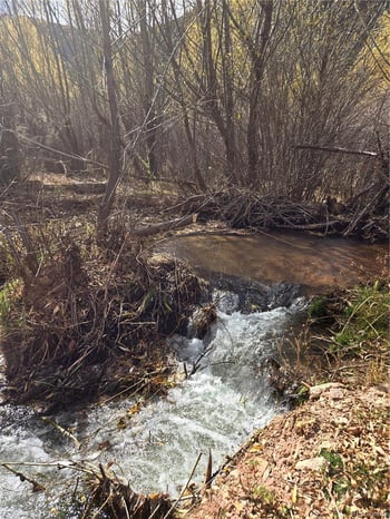 8225 Us Highway 24, Cascade, CO 80809