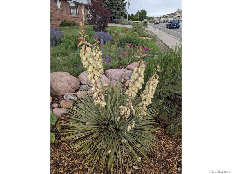 1605 14th St, Loveland, CO 80537