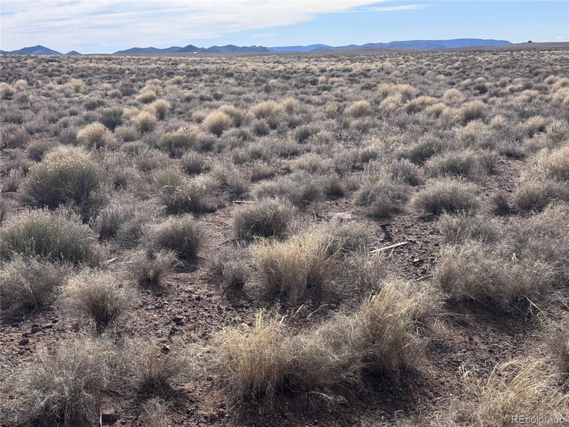 Lot 3 21st St, Blanca, CO 81123