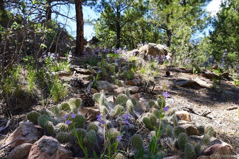 2871 Marcey Rd, Westcliffe, CO 81252