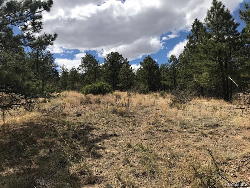 2871 Marcey Rd, Westcliffe, CO 81252