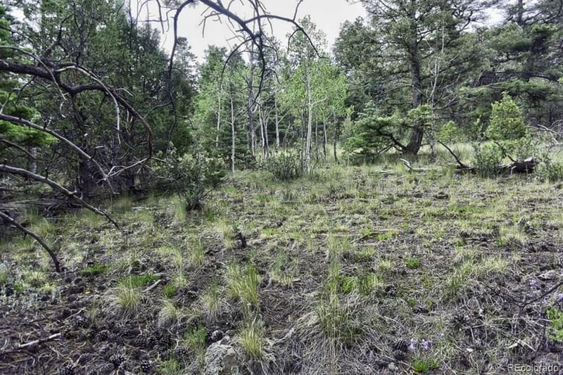 2871 Marcey Rd, Westcliffe, CO 81252