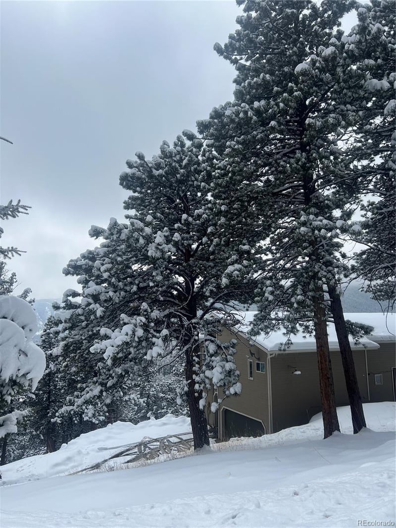 140 County Road 128n, Nederland, CO 80466