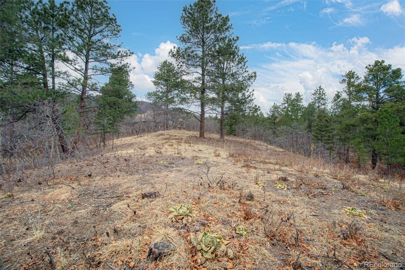 2054 Stratton Forest Hts, Colorado Springs, CO 80906