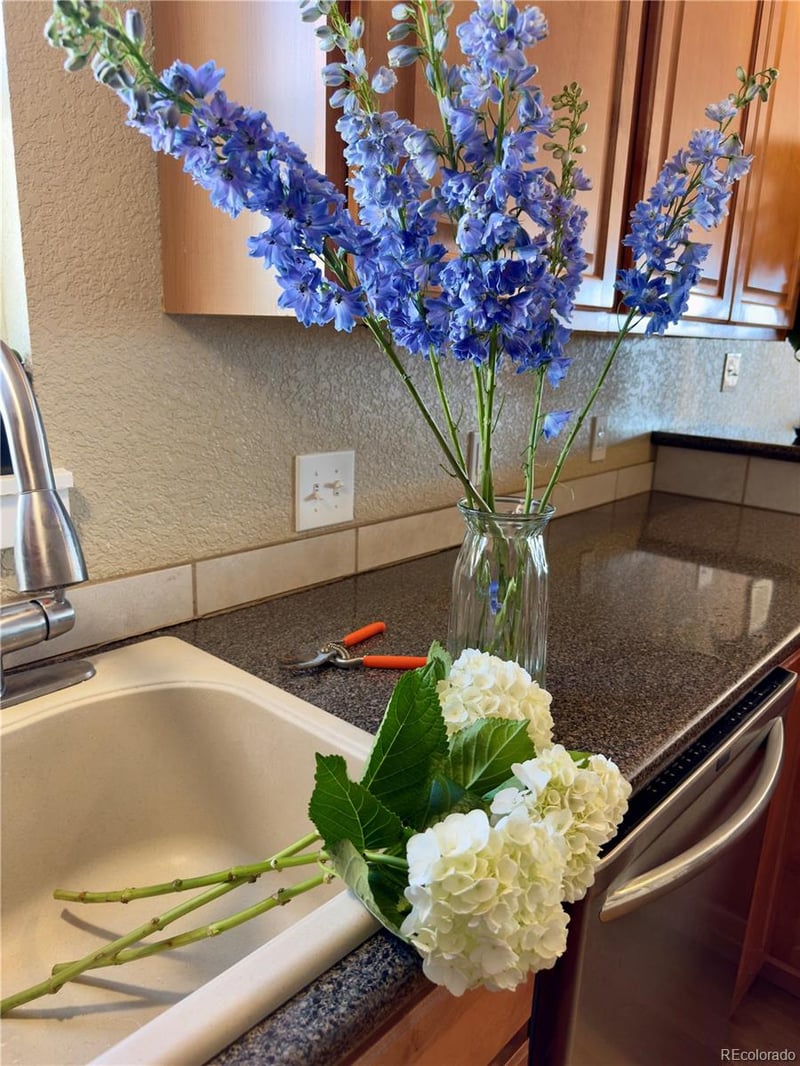 201 Pratt St, Longmont, CO 80501