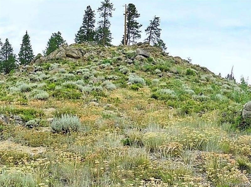 797 Fawn Dr, Tabernash, CO 80478
