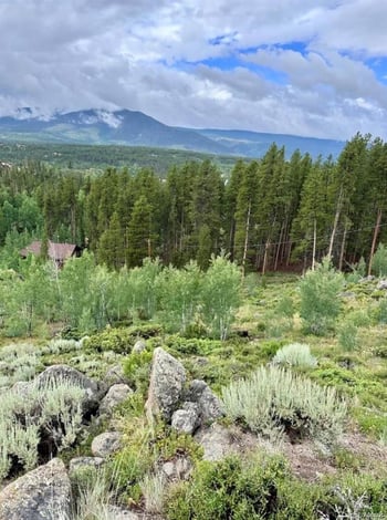 797 Fawn Dr, Tabernash, CO 80478