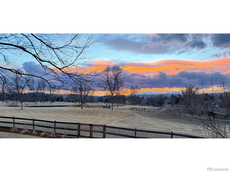 8403 Brittany Pl, Niwot, CO 80503