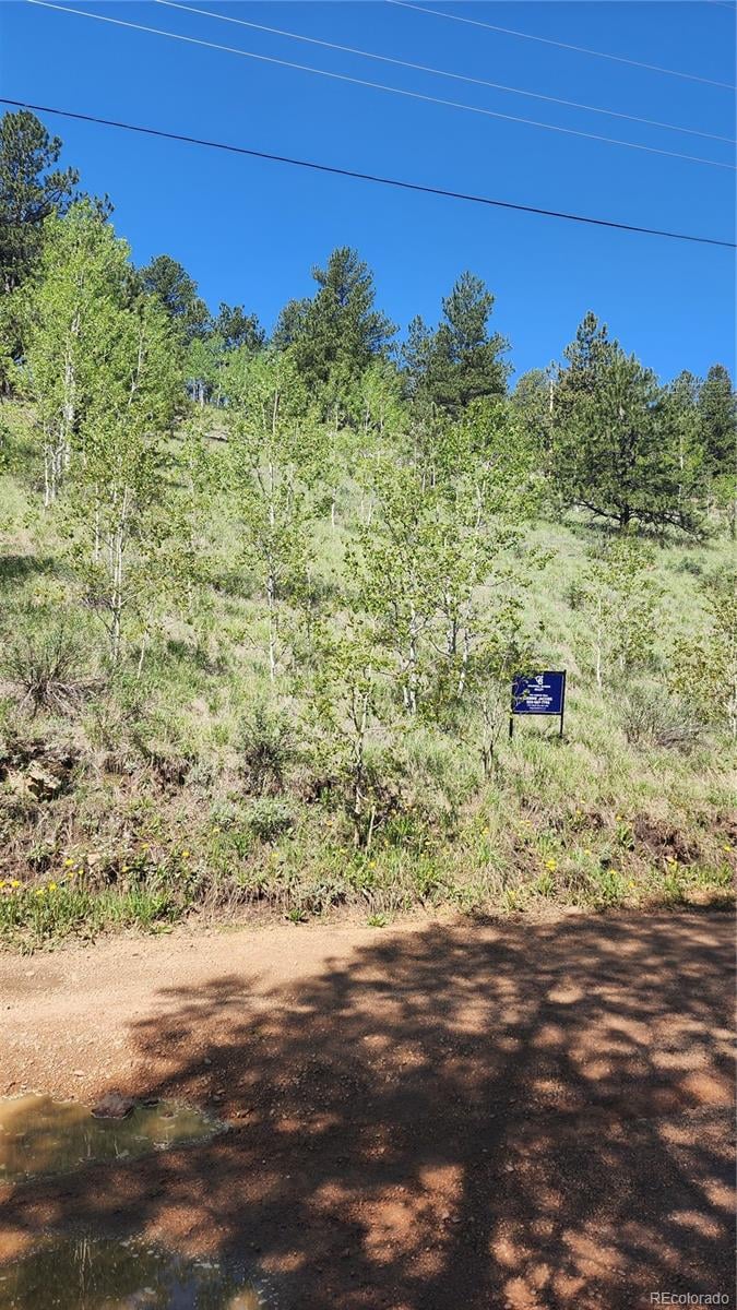 267 Ward St, Bailey, CO 80421