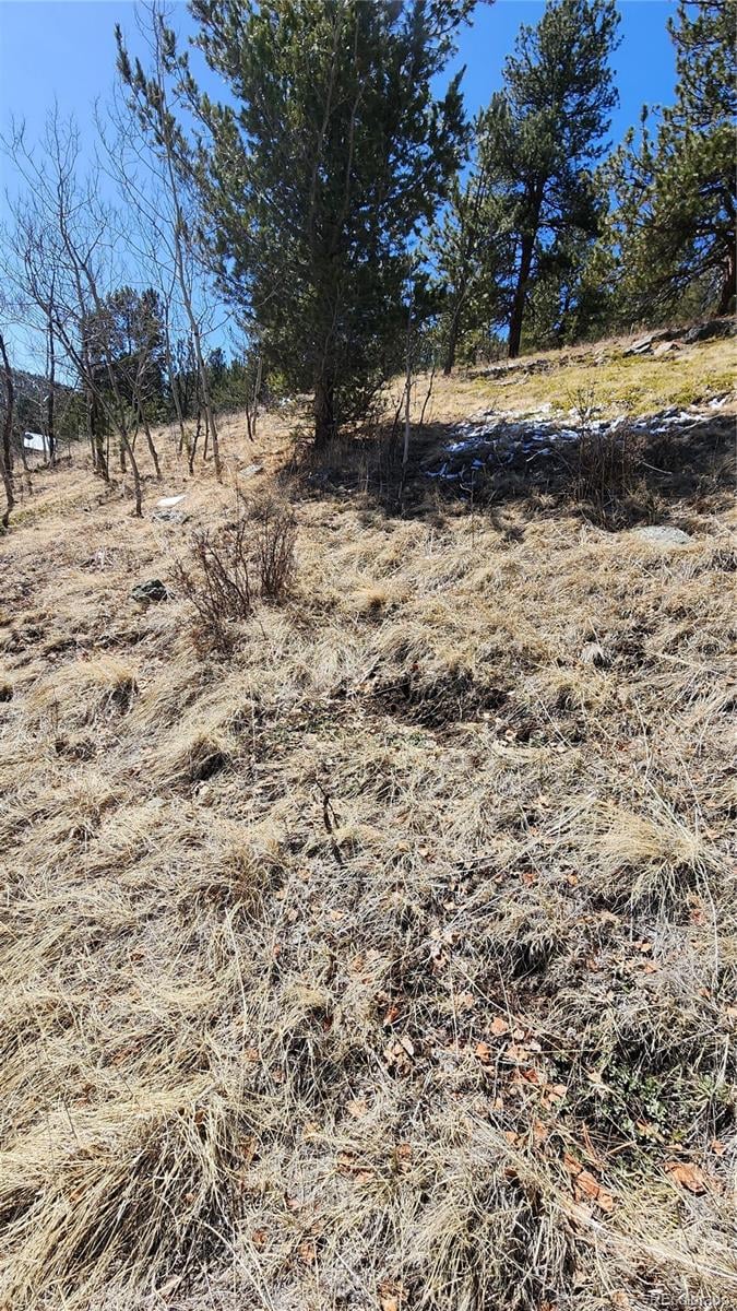 267 Ward St, Bailey, CO 80421